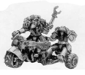 Rogue Trader Marine